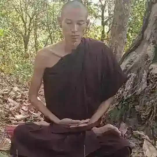 International ဝိမုတ္တိဥာဏဓမ္မအရှင်ကုသလ တရားစခန်း (ဝိမုတ္တိInformation) Profile