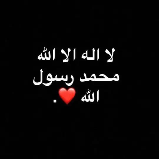 2️⃣ ISLAM. Quran- livres- Invitation à Nouveaux musulmans-video 📌Nous avons modifié le lien de la chaîne Telegram
