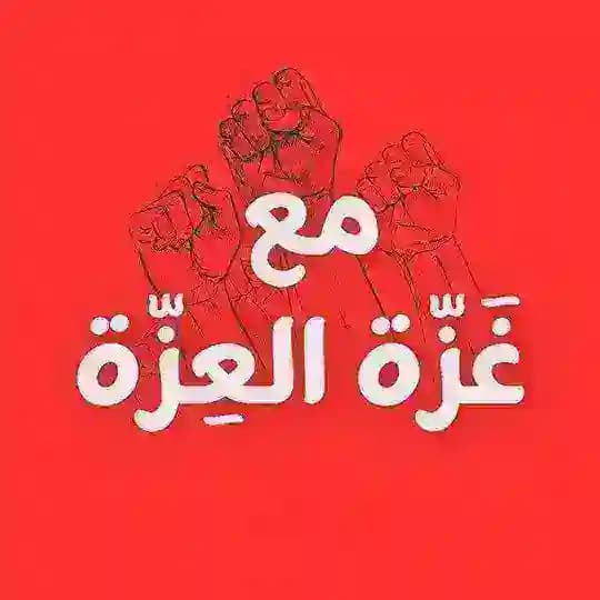لَقَدْ كَانَ فِي قَصَصِهِمْ عِبْرَة