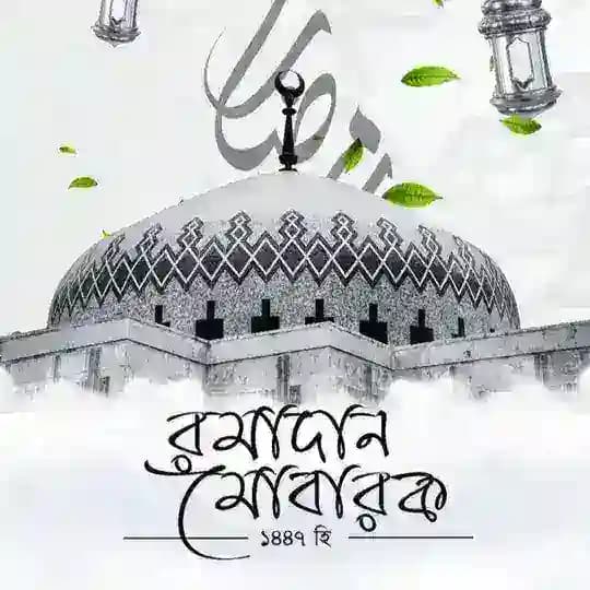 ইসলামের পথে এসো ❤️🤲 ✨ Profile