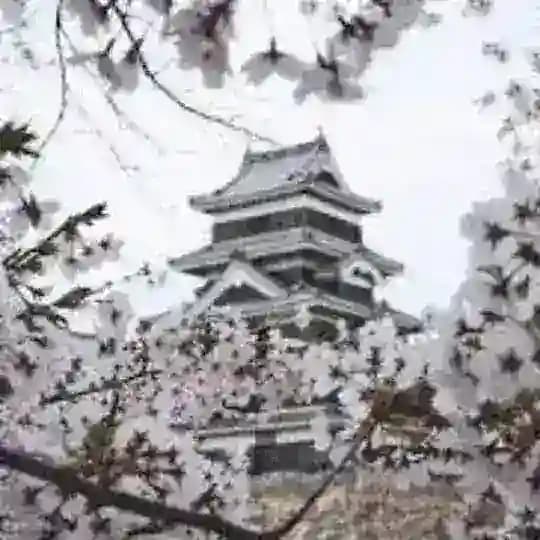 🎎 JAPAN Beauties