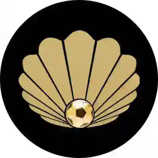 金貝福利频道😍 Profile