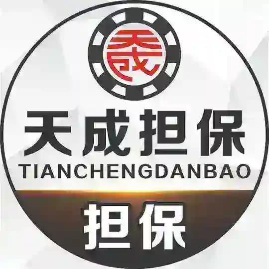 天成担保 TC GUARANTEE