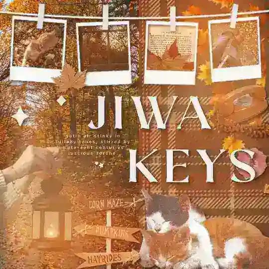 🍁 jiwakeys.site : open custom ready