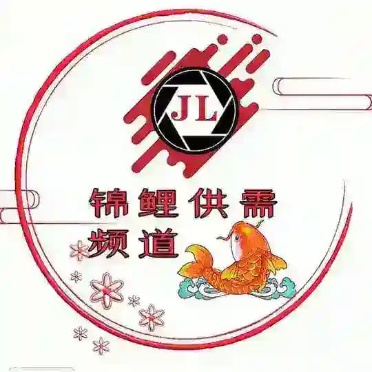 锦鲤收粉频道 Profile