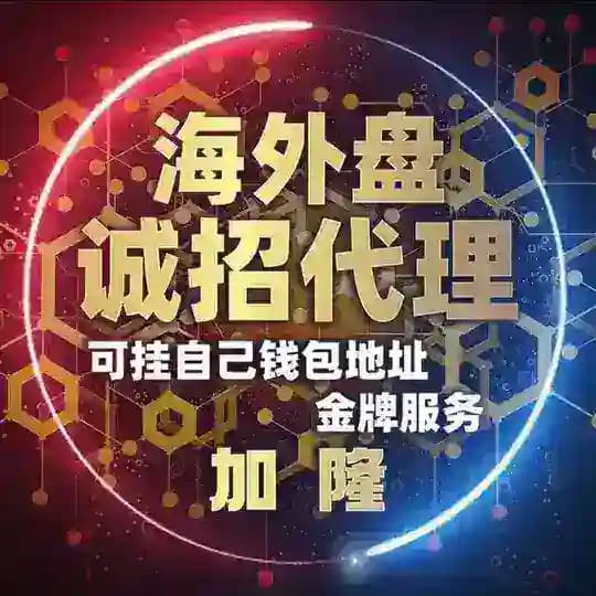 星河集团-海外精聊盘-招代理