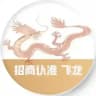 九台【官方招商】认准👉飞龙