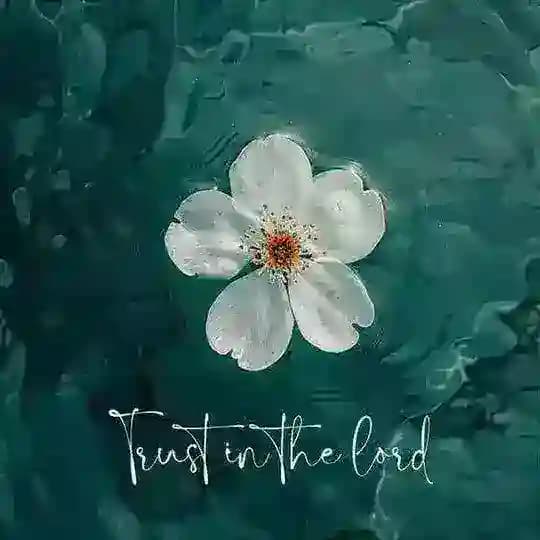 اَفَلاََمار🔥<!س҉ك҉ّْْس҉ندا🔥(مَقَاطِعُثهه)🔥#عٌربًيَةّ#آجّنِبًيَهّ