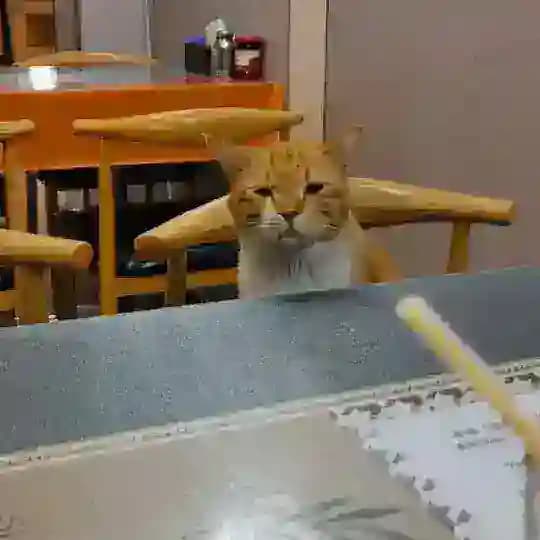 我们趣金园频道