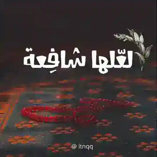 ⚜لعَلها شافِعة⚜