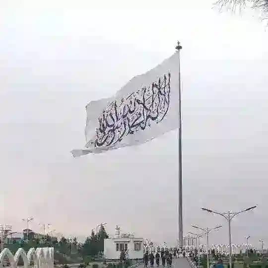 أناشيد جهادية