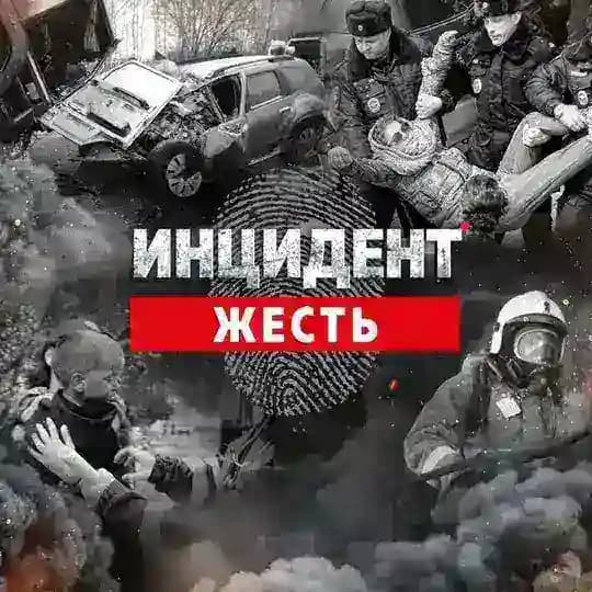 Жесть