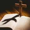 🛐✝️Disciples du Christ™️