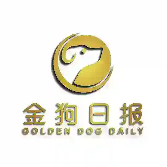 金狗日报