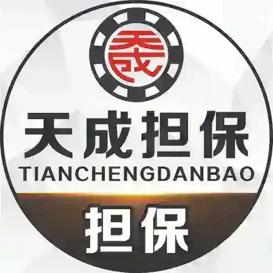 天成担保—官方人员公示