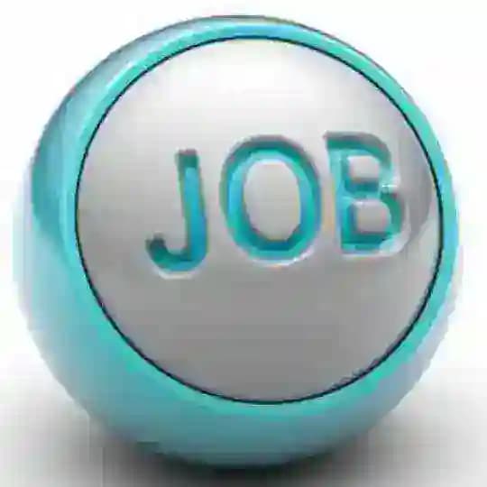 Jobs In Delhi NCR, Airport Jobs (paid)
