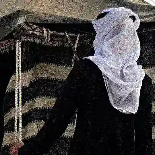 خَلاوي 𓅓 .
