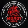 КСЕ «МОЛОТ» Краснодон