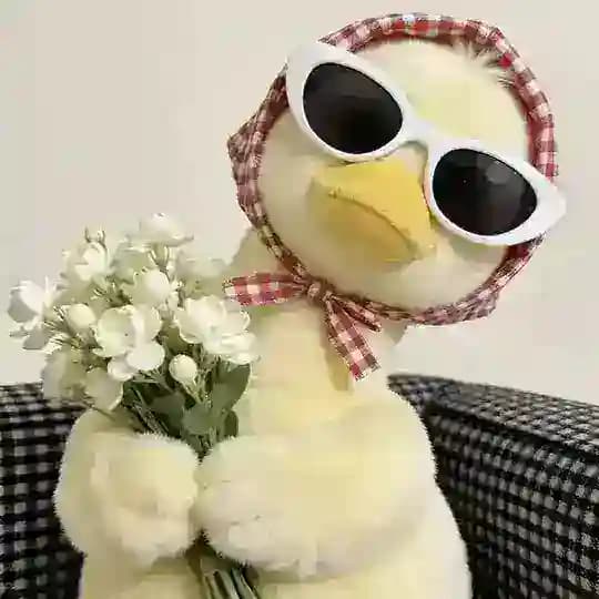 هستره من شق وطرف 🌞✨.