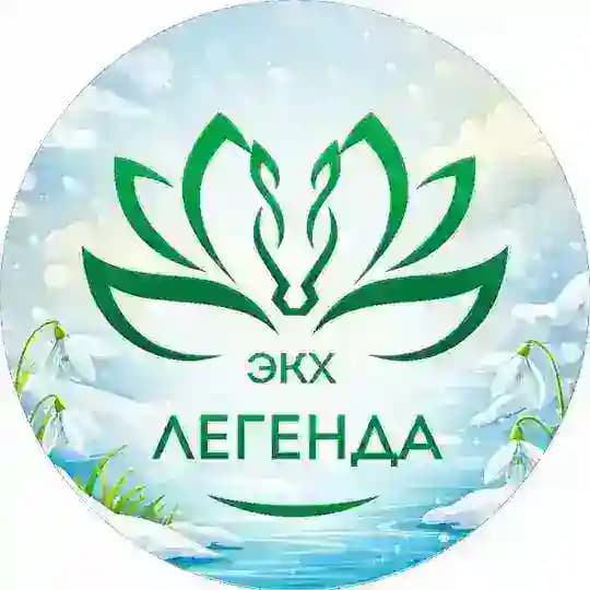 ЭКХ "Легенда"