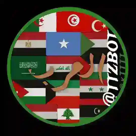 بوت تمويل العرب