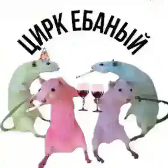 KXdaya