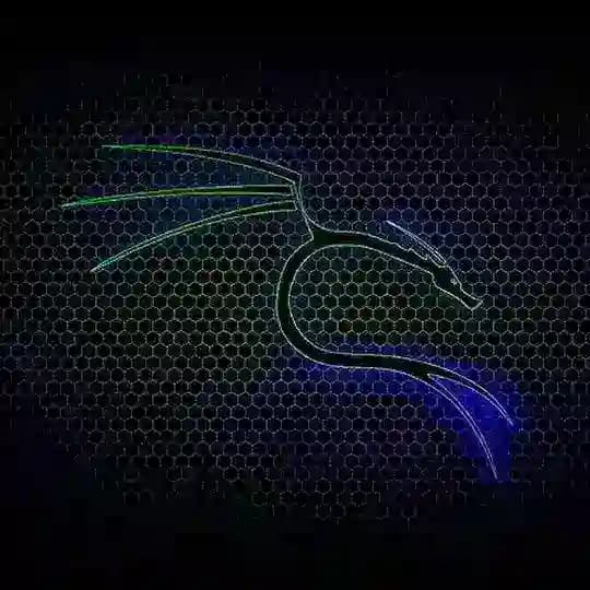 Kaernet官方查档业务频道