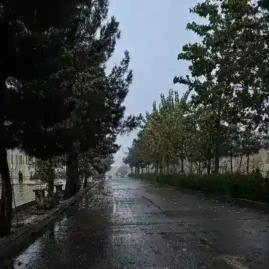 کراشکدهدانشگاهآزادکاشان