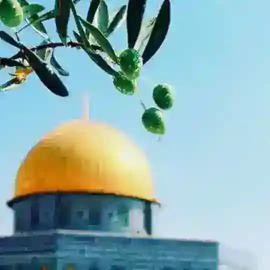• مجالِسُ القُرآن