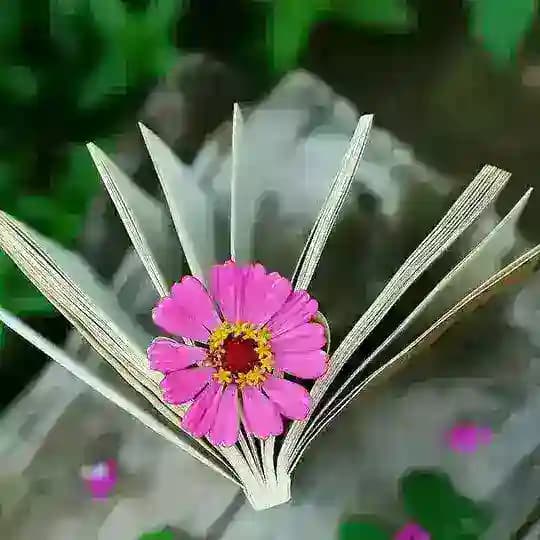 🔍 صــورة وكـتــابـة ✍
