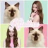 kitellaz buka kandang! 🐈‍⬛