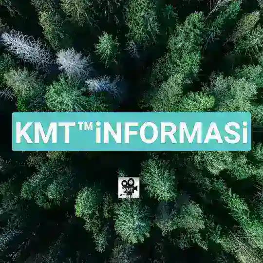 Koleksi Informasi Profile