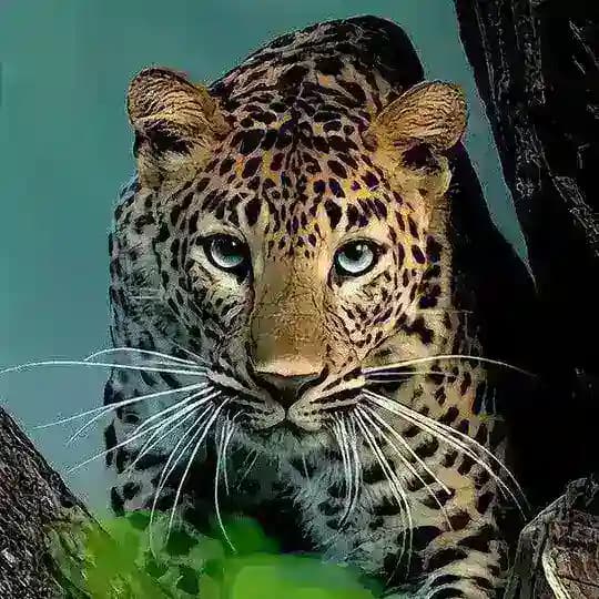 💛 Жизнь в картинках 💛