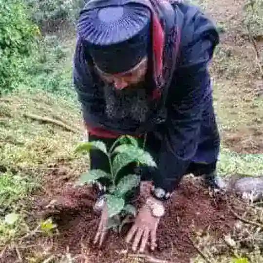 መርጌታ ሰናይ የባህልመዳሃኒትቀማሚ እና