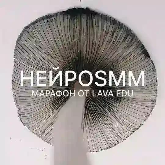 НЕЙРОSMM x LAVA EDU