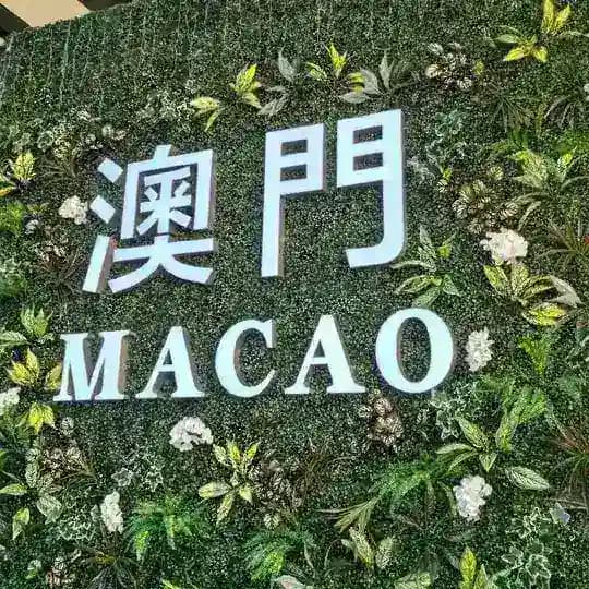 新澳香港六合