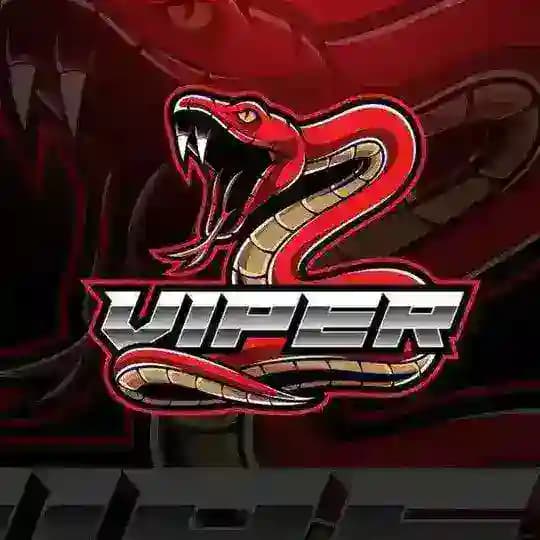 viper毒蛇直装总通知频道