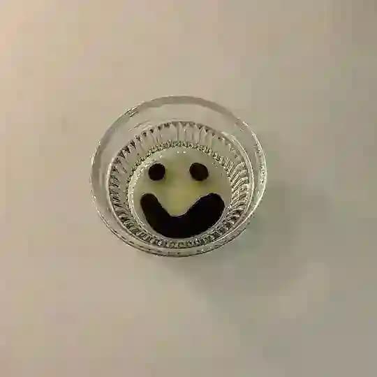 생명과학 1 자작문제방 Profile