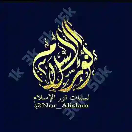 مـجلدات نور الإسلام