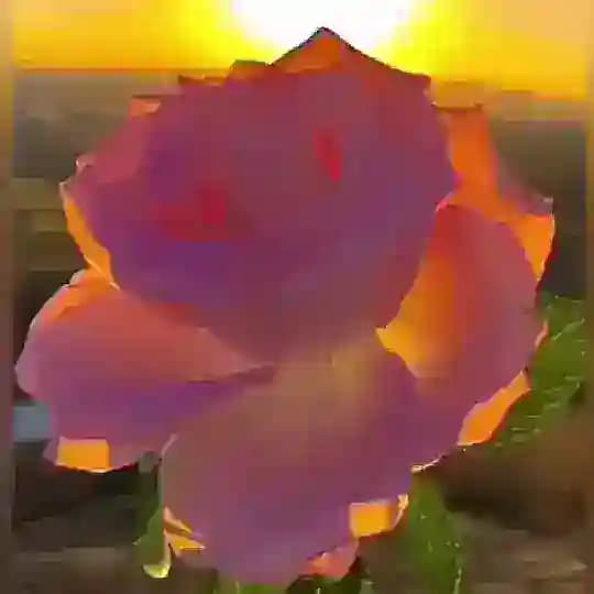 La vida es bella 🍃 Profile