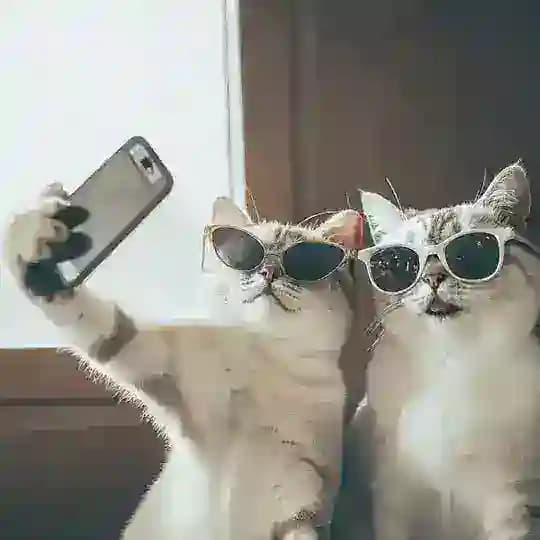 Лапка Кремля