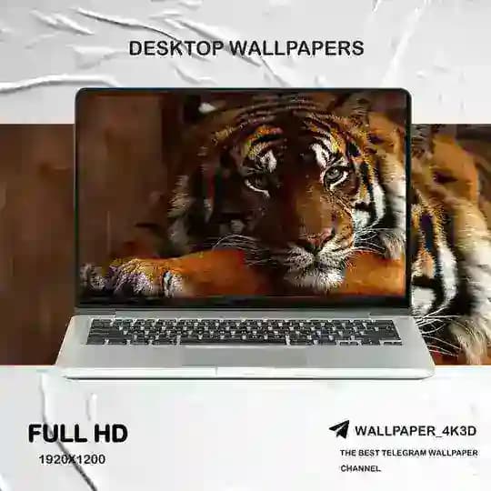 Laptop Wallpaper