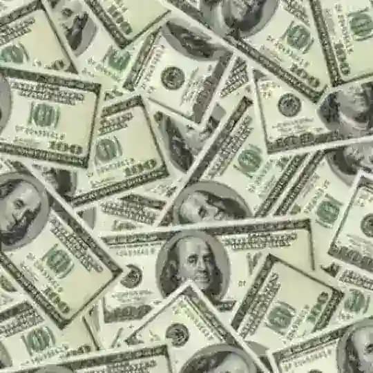 Learn Fast Earn