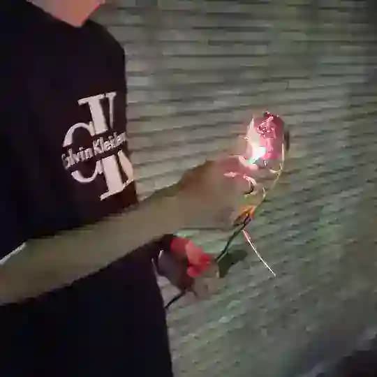 𝐋𝐢𝐯 Profile