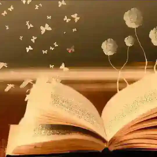 Littérature 📖 Profile