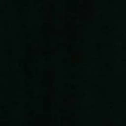 နိဗ္ဗာန် ဘုံလေးမှာ ပျော်မြူးကြစေညိုကီတို့ 🌚✨ Profile