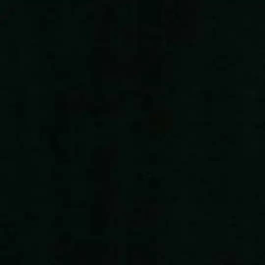 နိဗ္ဗာန် ဘုံလေးမှာ ပျော်မြူးကြစေညိုကီတို့ 🌚✨ Profile