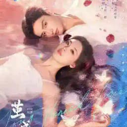 Long Planned Love Profile