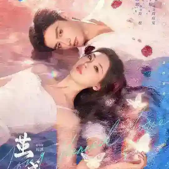 Long Planned Love Profile