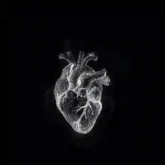 ؏ـۦٰ۫ـــ💞ــشِقَ